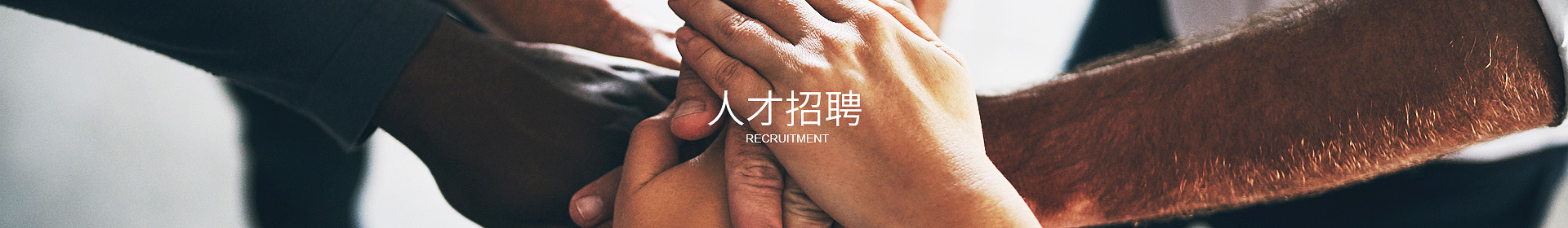 Ledong官方网站,Ledong.com
